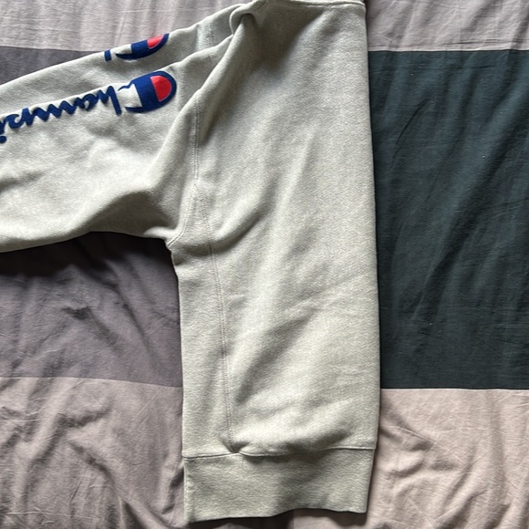 Champion Hoodie (Grey) - Men’s M - Picture 7 of 7